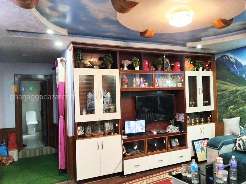 House on Sale at Pepsicola Barah Shutters 